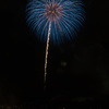 夏の夜に咲く花６０