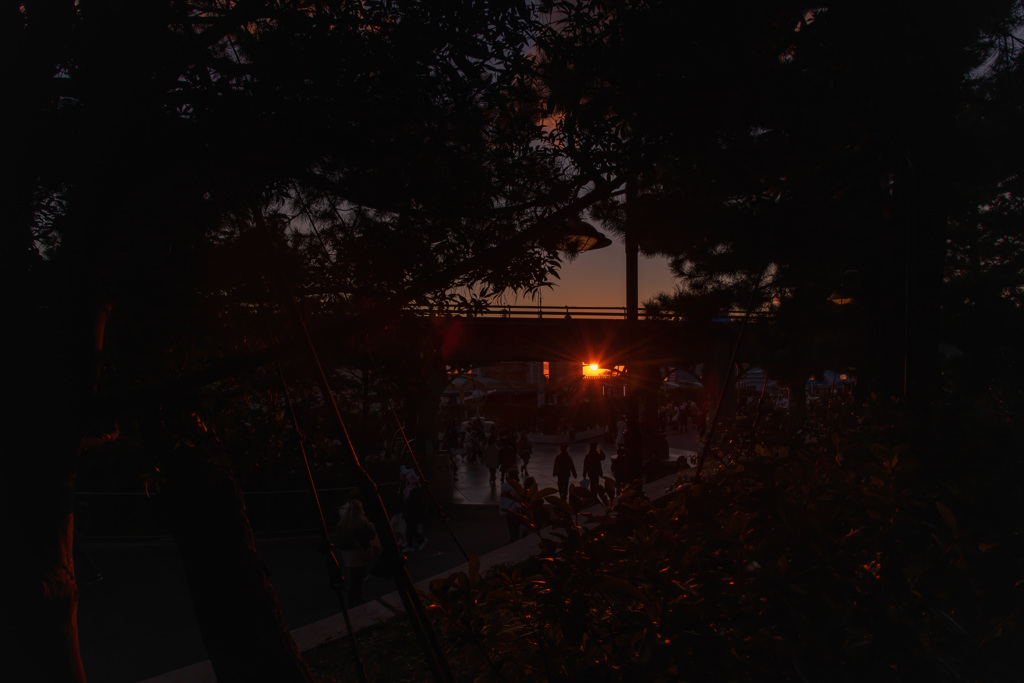 夢の国のマジックアワー２