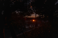 夢の国のマジックアワー２