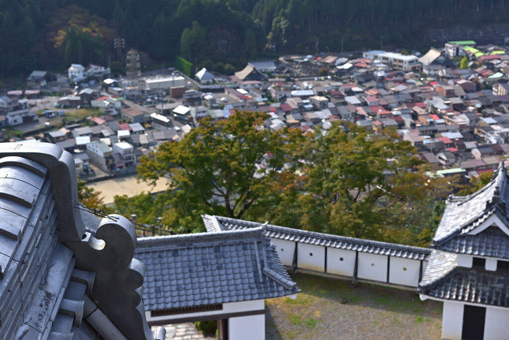 郡上八幡城天守から望む市街