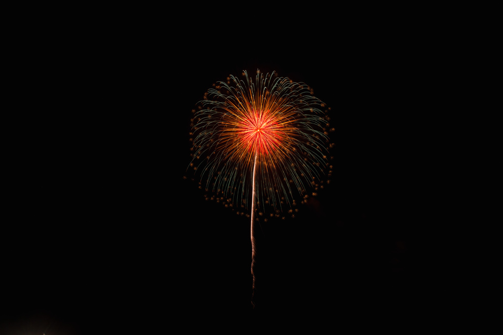 夏の夜に咲く花３１