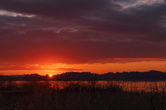 伊豆沼の日の出