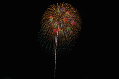 夏の夜に咲く花２２