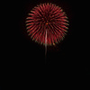 夏の夜に咲く花１３