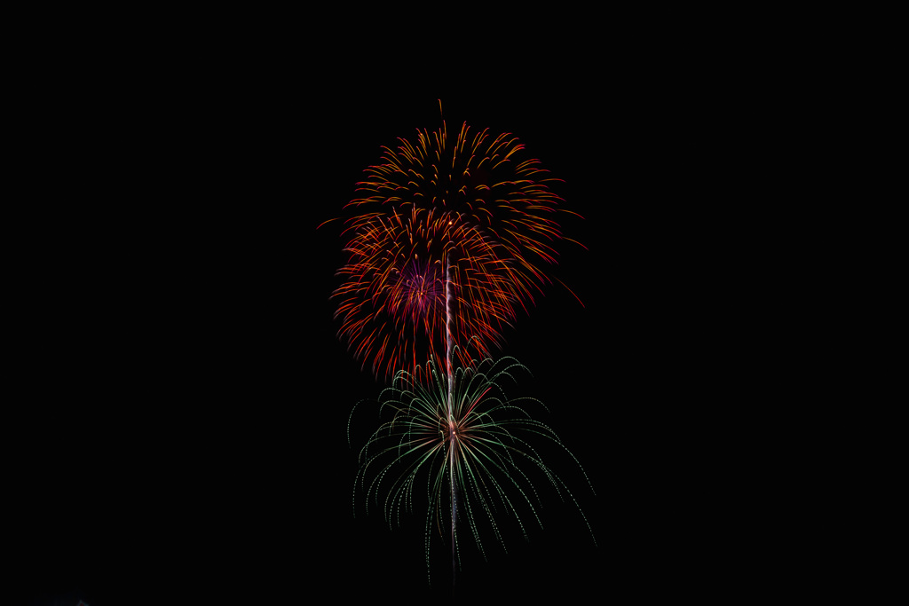 夏の夜に咲く花７