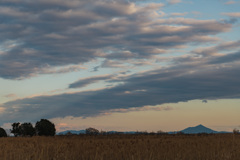 葦原夕景