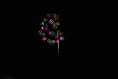 夏の夜に咲く花２３