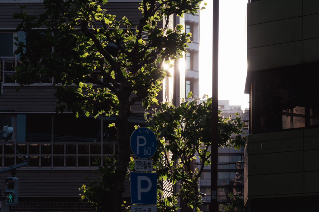 陽光２