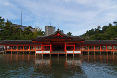 嚴島神社（本殿）