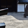 東福寺（方丈八相の庭 南庭）
