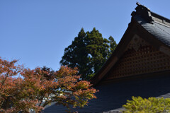 身延山久遠寺奥の院