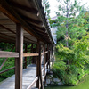 高台寺・臥龍廊