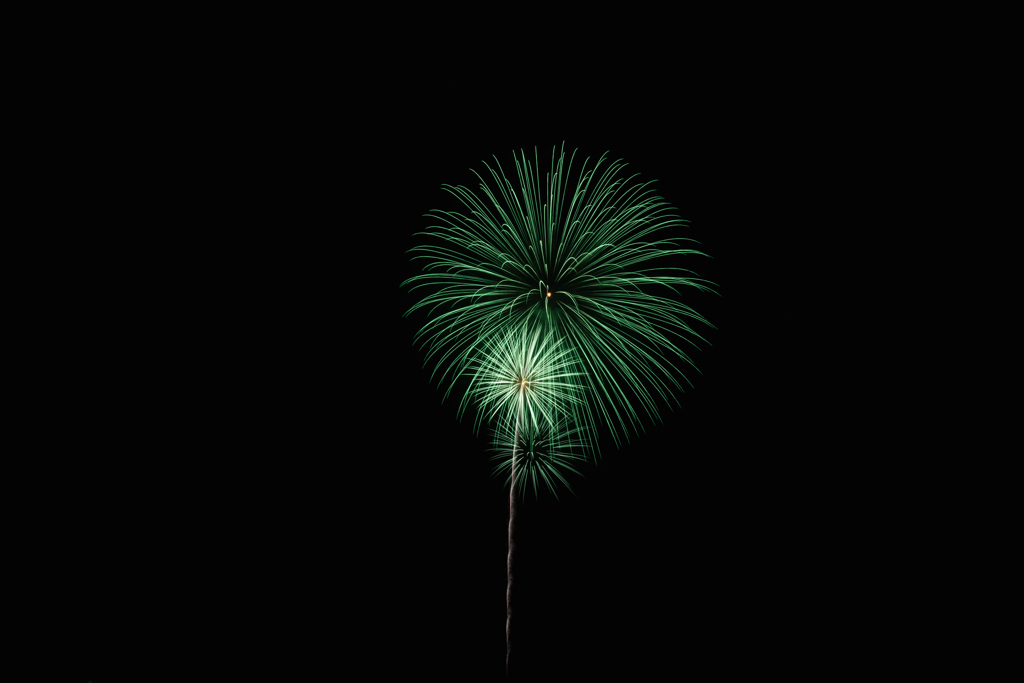 夏の夜に咲く花４１