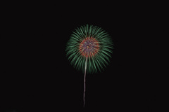 夏の夜に咲く花５１