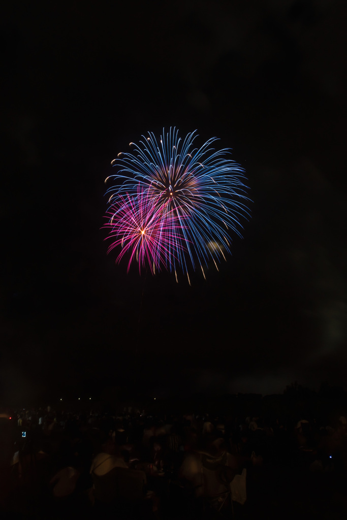 夏の夜に咲く花５８