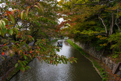 近江八幡2025秋(3)