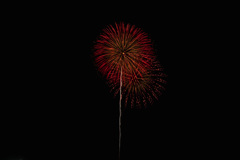 夏の夜に咲く花３７