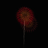 夏の夜に咲く花３７