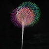 夏の夜に咲く花７１