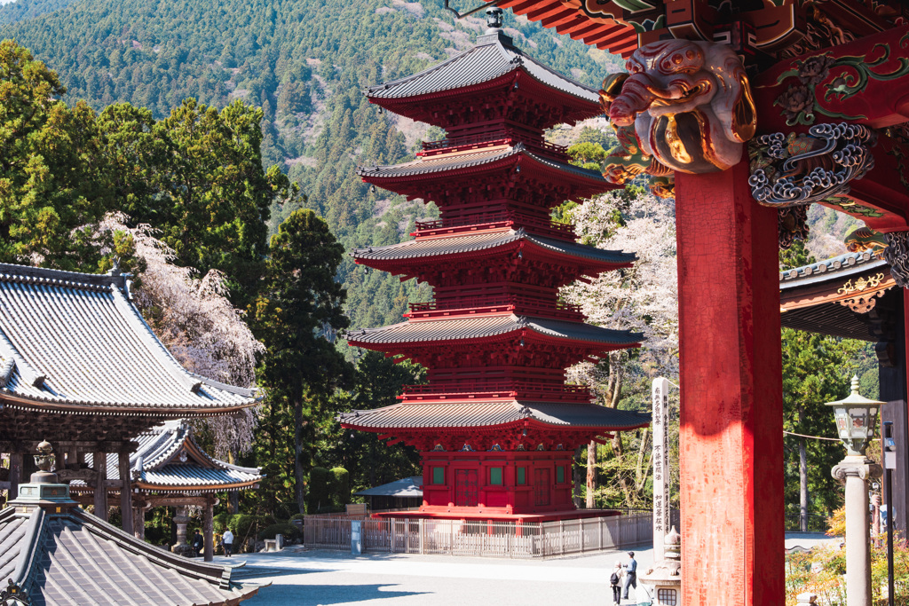 春の久遠寺