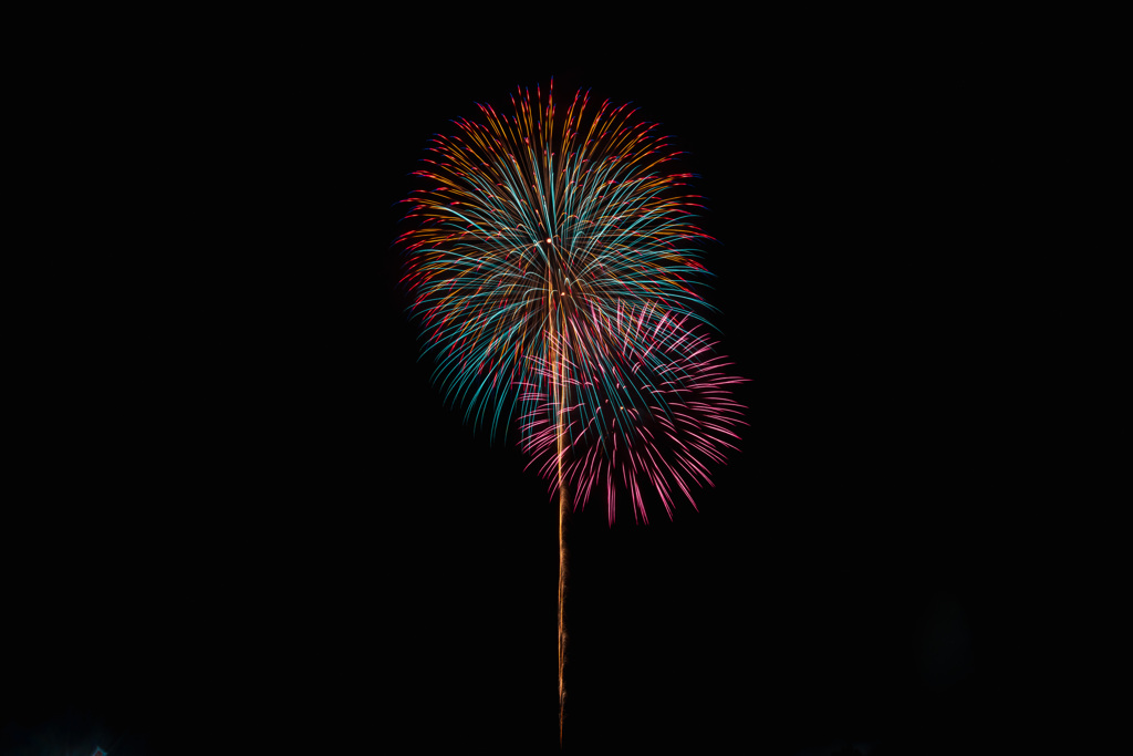 夏の夜に咲く花４４