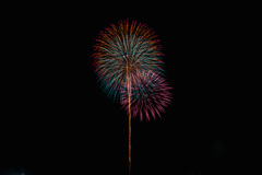 夏の夜に咲く花４４
