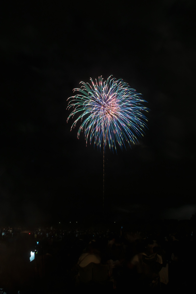夏の夜に咲く花６４