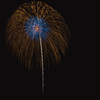 夏の夜に咲く花５２