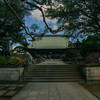 花咲く寺（護国寺）６