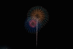 夏の夜に咲く花１５