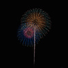 夏の夜に咲く花１５