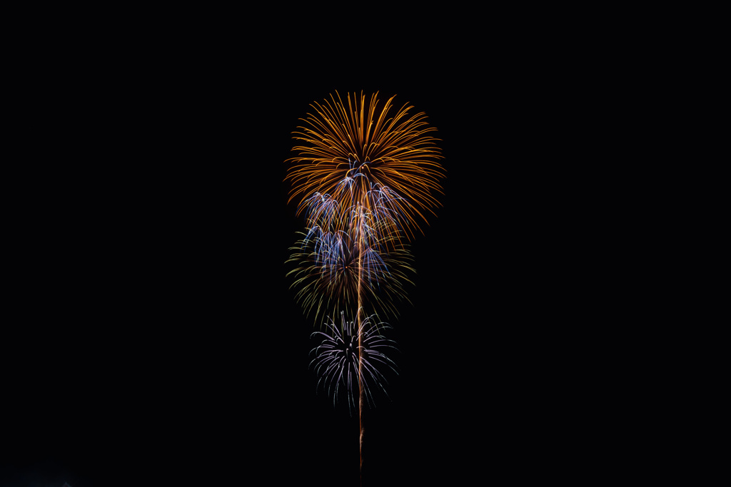 夏の夜に咲く花５３
