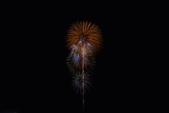 夏の夜に咲く花５３