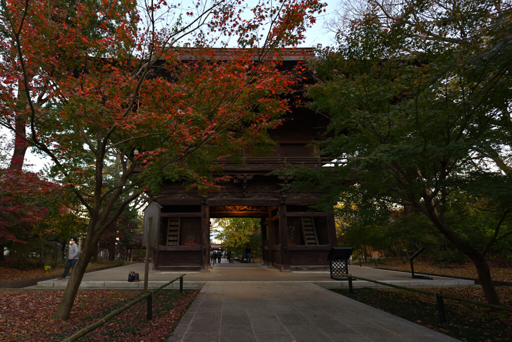 九品仏浄真寺2020晩秋３
