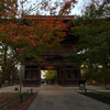 九品仏浄真寺2020晩秋３