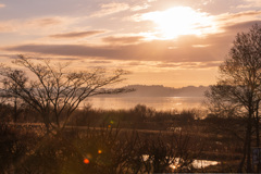 伊豆沼朝景５（2025年師走）