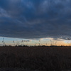 葦原夕景２