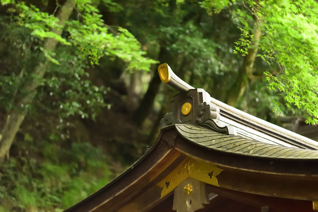 貴船神社