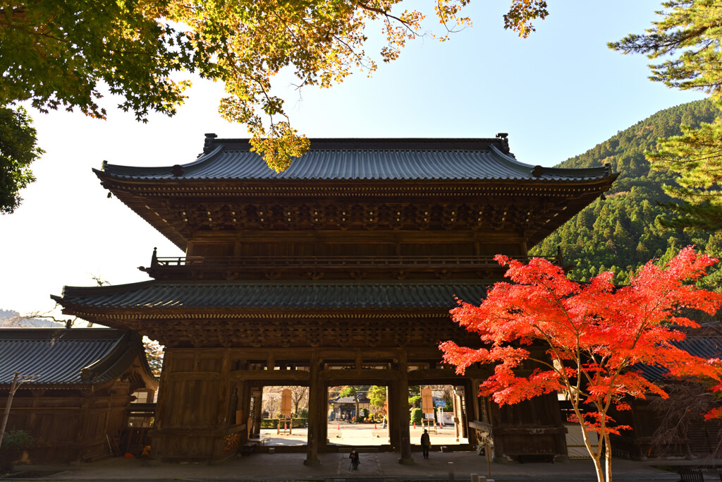 身延山久遠寺