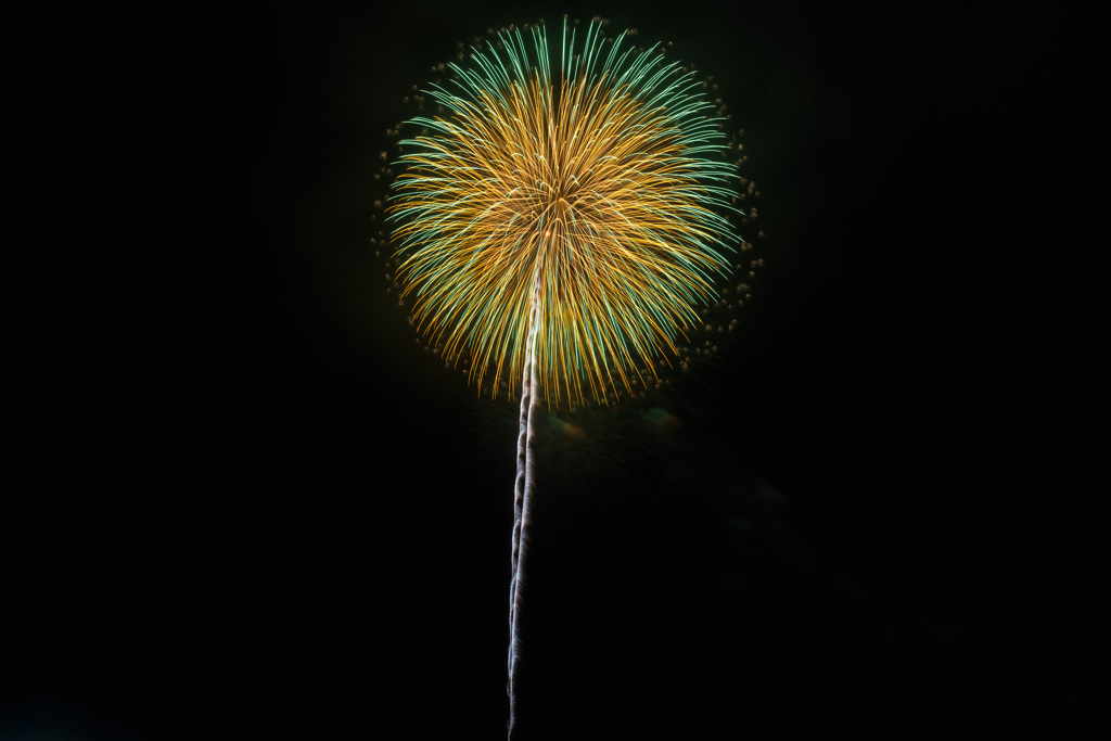 夏の夜に咲く花１６