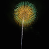 夏の夜に咲く花１６