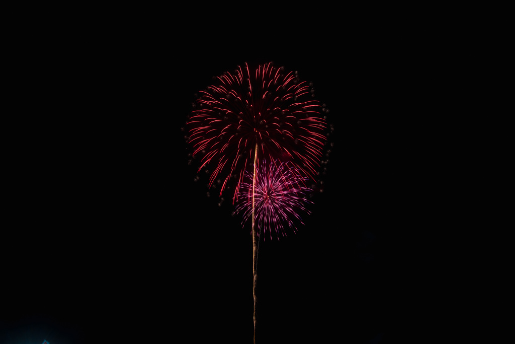 夏の夜に咲く花２８
