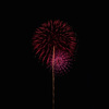 夏の夜に咲く花２８