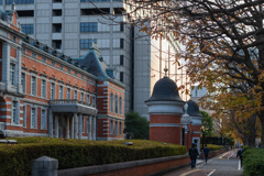 秋の切り取り（法務省旧本館）