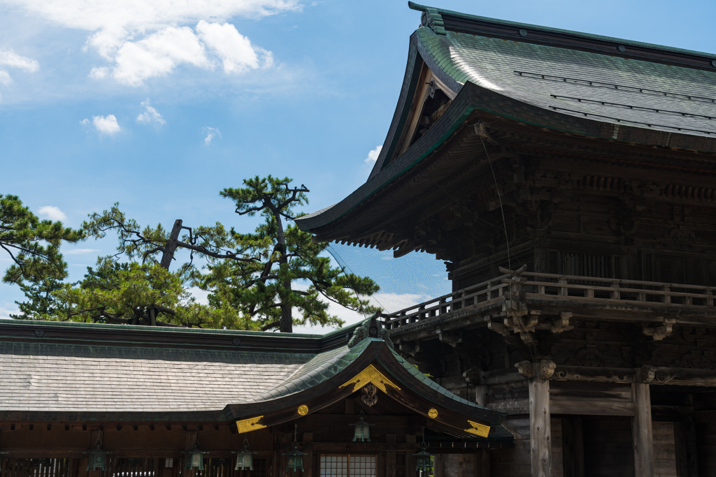 新潟白山神社（隋神門）