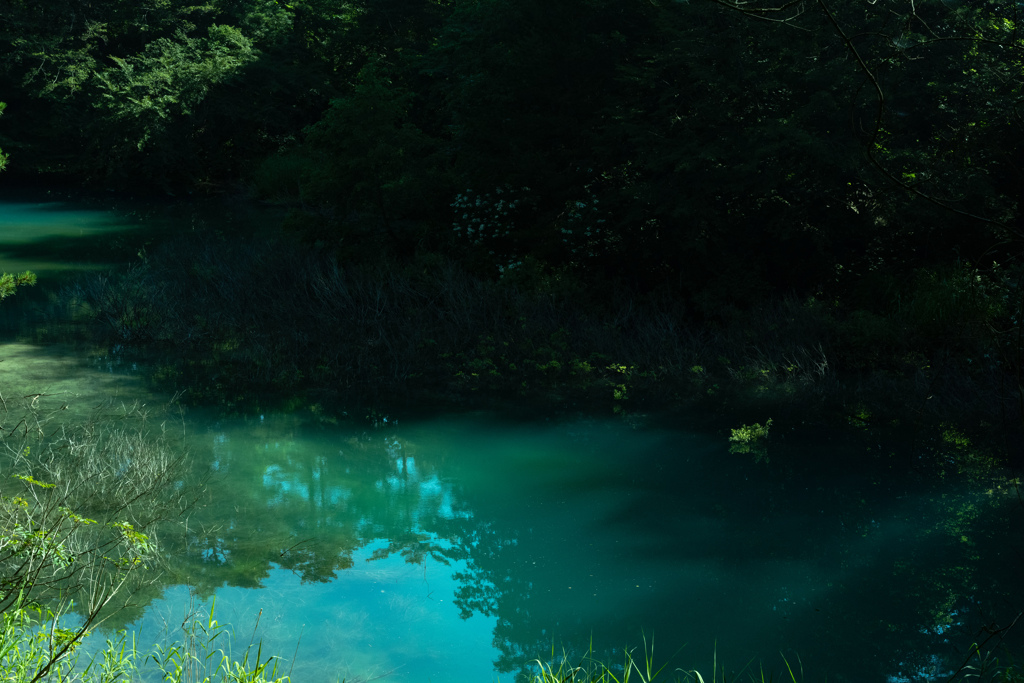 青沼３（五色沼）