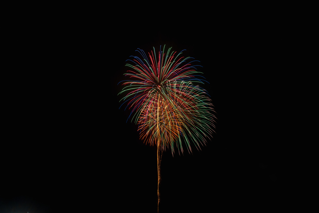 夏の夜に咲く花１４