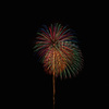 夏の夜に咲く花１４