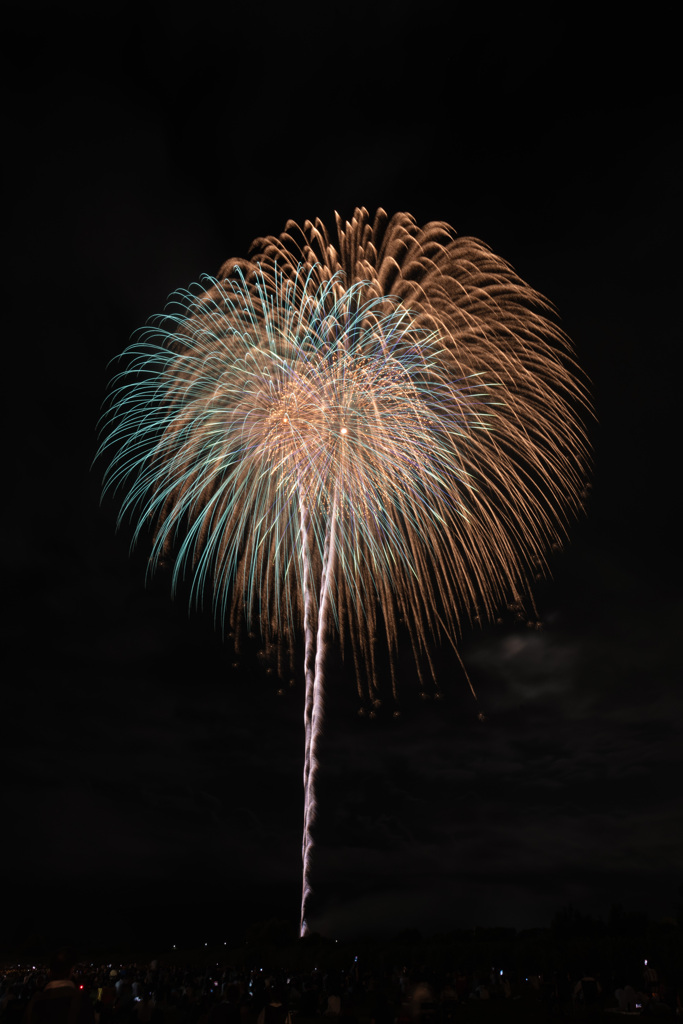 夏の夜に咲く花７０