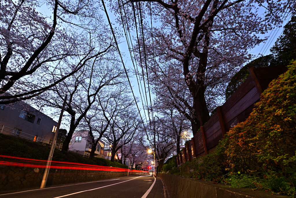 桜坂